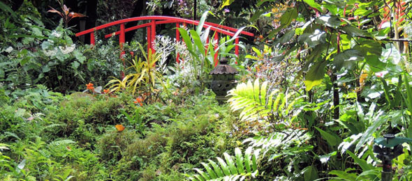 Diamond Botanical Gardens