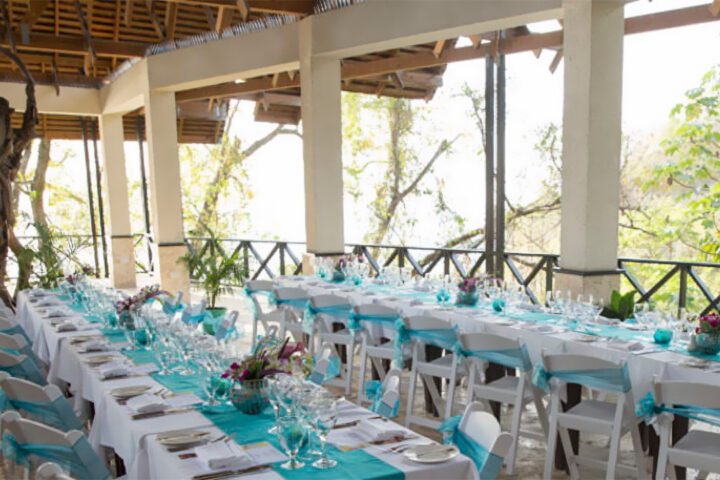 venue-cottontreehouse