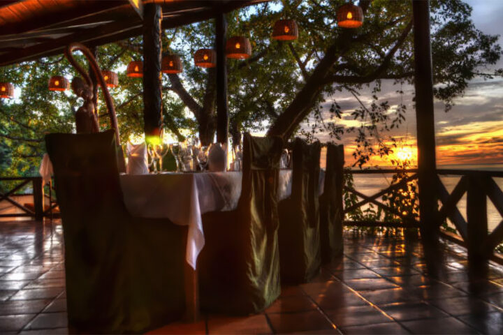 venue-treehouse