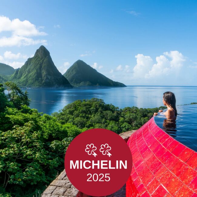 Michelin 2025 vert