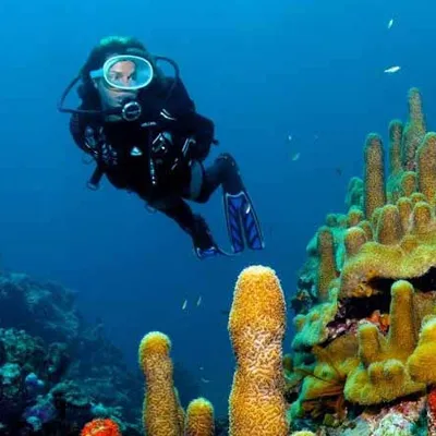 home-scuba